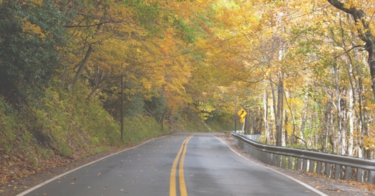 a Virginia road in autumn